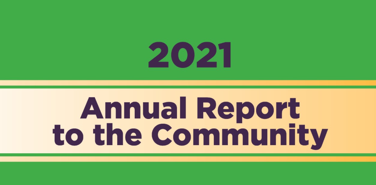 Annual report cover for site news section